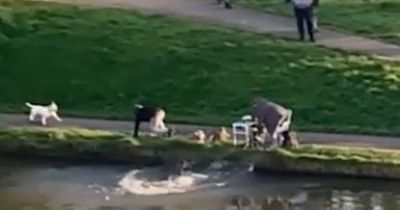 Terrifying moment grandad is pushed into canal as wife looks on in horror