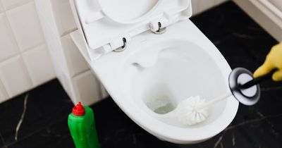 Smelly toilets 'are costing pubs' - but they're not as bad as estate agents and banks