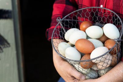 "Farm fresh" label on eggs means nothing