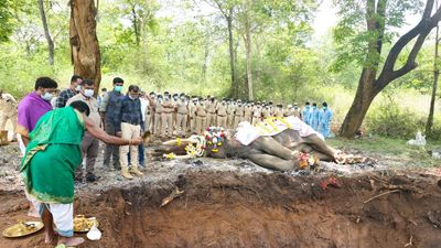 Last rites of elephant Balarama performed