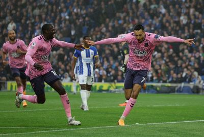 Brighton & Hove Albion vs Everton LIVE: Premier League result, final score and reaction