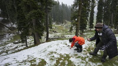 Snowfall sparks cold wave in Kashmir, rains close highways