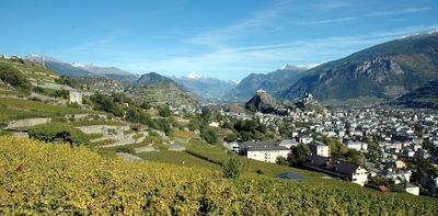 Come pests, frost or fire: How the Swiss are arming their wines against climate change