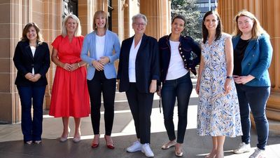 New South Wales parliament has more women than ever but gender parity not yet in reach