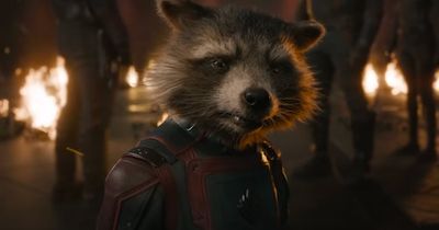 Will There Be a 'Guardians of the Galaxy 4'? Everything You Need to Know