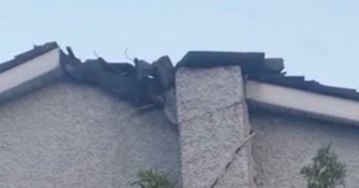 Lightning blasts chimney off Dublin home during thunderstorms