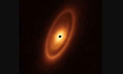 James Webb Space Telescope snaps amazing photo of alien asteroid belt