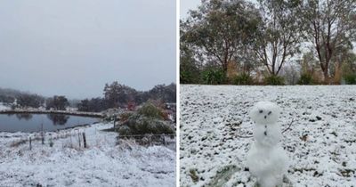 Winter is coming as ACT records coldest morning since August