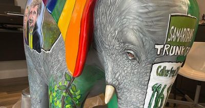 Dublin artist creates striking depiction of Charlie Bird's life on elephant canvas