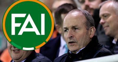 The FAI must learn from the GAA & racing industries and finally grow some political muscle