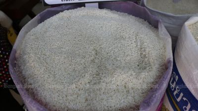 Asia rice output turns corner as farmers expand planting