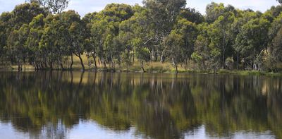 HECS for farmers? Nature repair loans could help biodiversity recover – and boost farm productivity