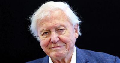 David Attenborough's tragic loss and close bond with rarely seen children