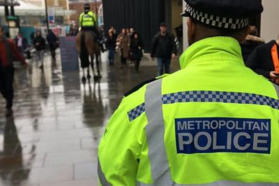 Met Police stand by officers who tasered man and shot two dogs dead