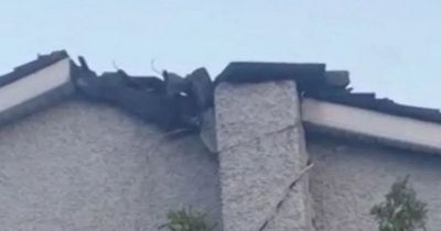 Lightning blasts entire chimney off homeowner's roof in terrifying storm