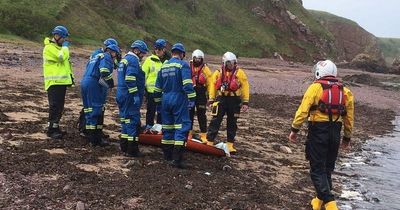 Coastguard races to help rescue injured hiker after horror fall onto rocks