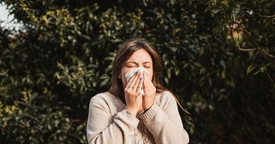 Glasgow Pollen Bomb and how to cope with seasonal allergies if you suffer with hay fever