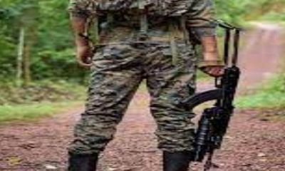 Odisha: Three Naxalites killed in encounter with police