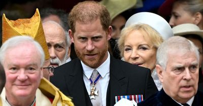 Inside Prince Harry's whirlwind 28-hour Coronation trip - night of silence and diversion