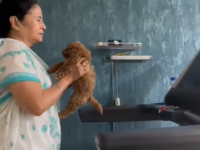 As Mamata Banerjee walks on treadmill holding a puppy, here are a few dos and don'ts to know
