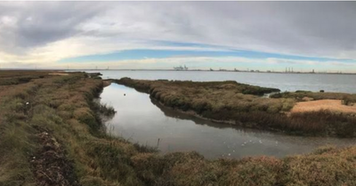 The UK island filled with human remains like a 'horror film' where visitors are banned