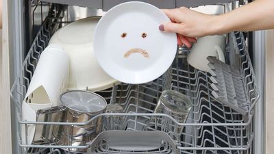 Joe Biden's War on Dishwashers Rages On