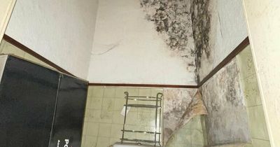 The Edinburgh areas with the worst damp and mould cases as complaints to council double