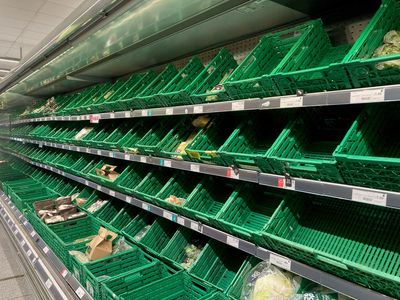 Brexit red tape risks winter of empty supermarket shelves, food chiefs warn