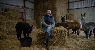 Ballymoney alpaca farmer Lee Kane on standing for NI council election for Alliance Party