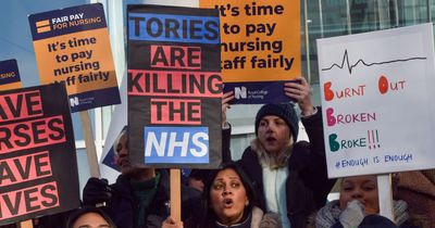 Tory 'sacking of nurses' law will be revoked when Labour comes to power, says peer