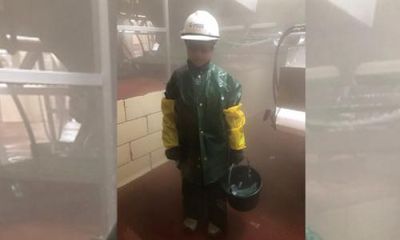 ‘They were little’: photos show children illegally working in US slaughterhouse