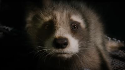 PETA praises Guardians of the Galaxy Vol. 3 as an "animal rights masterpiece"