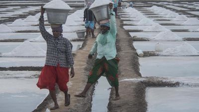 It is a rain of sorrows for salt farmers in Prakasam