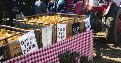 Walk on the wine side: Tasters stroll through city venues