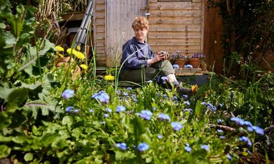 Ditch your spade, forget fertiliser, listen to the weeds: Alys Fowler’s guide to laid-back gardening