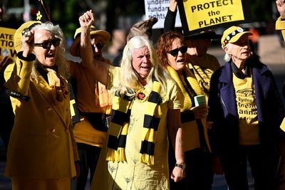 Knitting Nannas tell court NSW protest laws have left them ‘frightened’ to take climate action