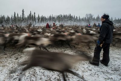 Sweden's 'Truth Commission' delves into painful Sami past