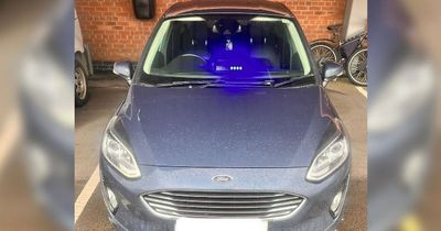 Police pretender pulled lone woman over because her driving had annoyed' him