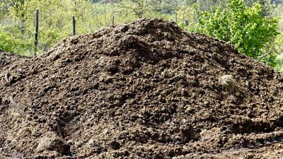 Brickbat: What a Load of Manure