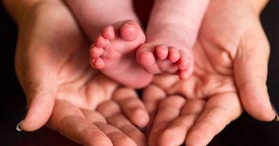 Babies from three people's DNA born in UK for first time