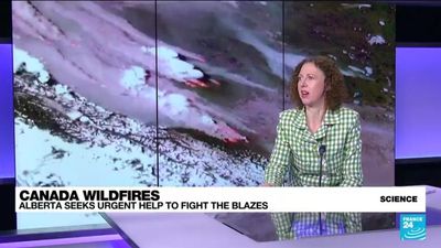 Canada wildfires: Alberta province uses Fire Weather Index to plan strategy