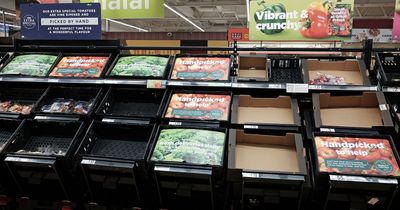 Warning new post-Brexit EU checks will lead to more empty supermarket shelves