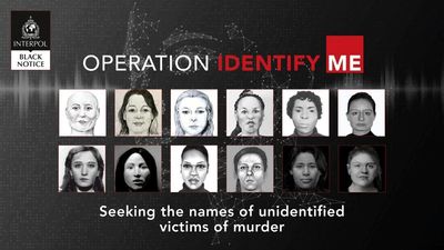 Interpol seeks clues to solve cold case murders of women and girls