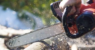 People discover grim medical reason chainsaws were invented by Scots doctors