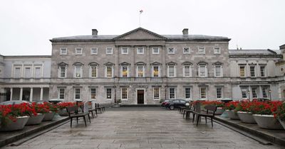 Leinster House hit with massive electricity bill - up 216% on previous year despite energy use cuts