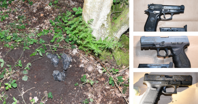 Three guns found wrapped in bags and buried next to tree