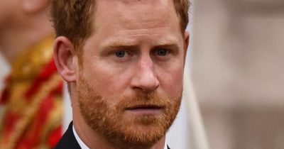 Prince Harry 'wanted to talk' at Coronation but royals 'didn't engage' with him