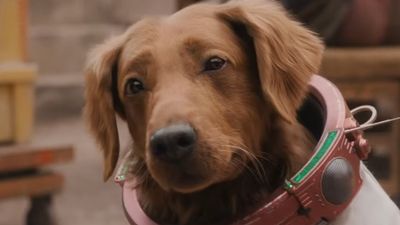 Who is Cosmo the Spacedog? All you need to know about 'Guardians of the Galaxy Vol. 3's' telepathic pup