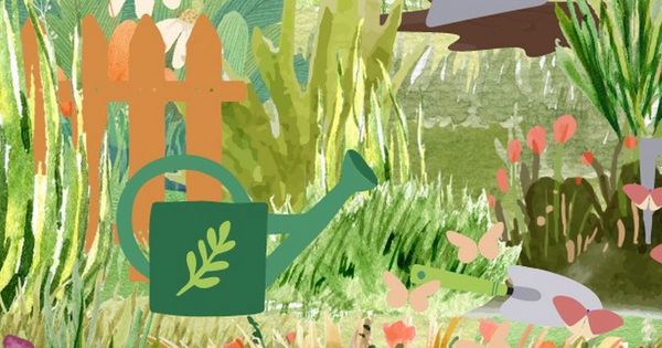 Garden brainteaser challenges you to find hidden snail and slug in one minute