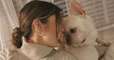 Bonnie Ryan opens up about rescuing dog Bobby from terrifying attack